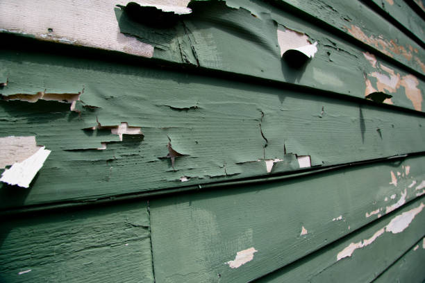 Storm Damage Siding Repair in Homewood, SC